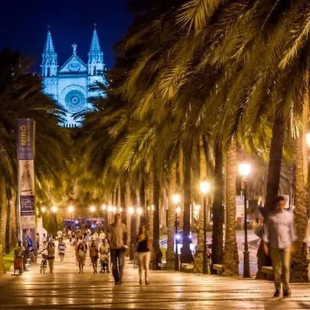 Ecological * Palma de Mallorca